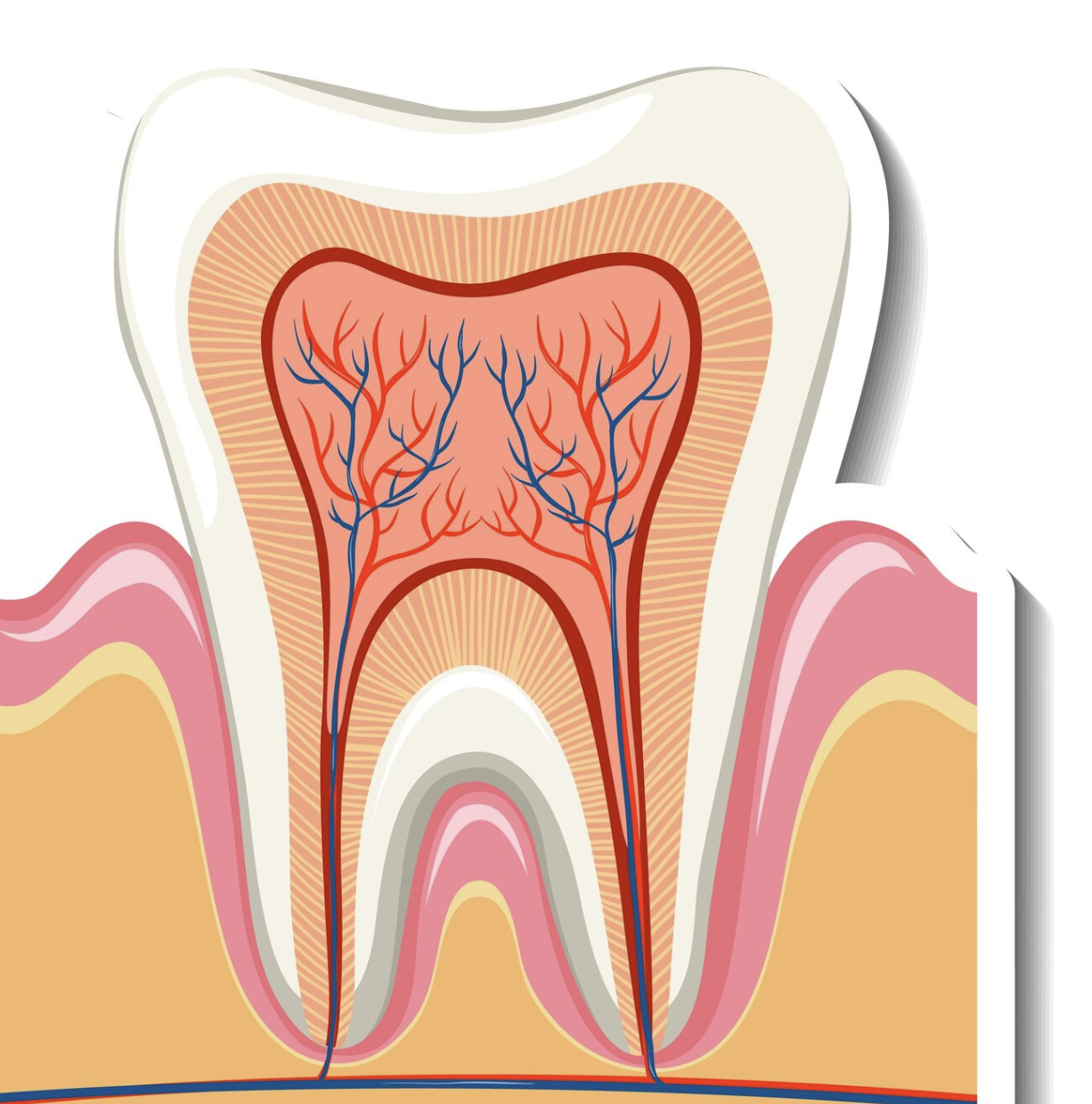 https://dfdentistry.ca/wp-content/uploads/2025/02/Screenshot-2025-02-25-at-4.15.35-PM.png